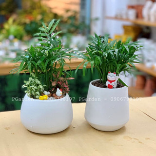Cau tiểu trâm MIX CHẬU để bàn