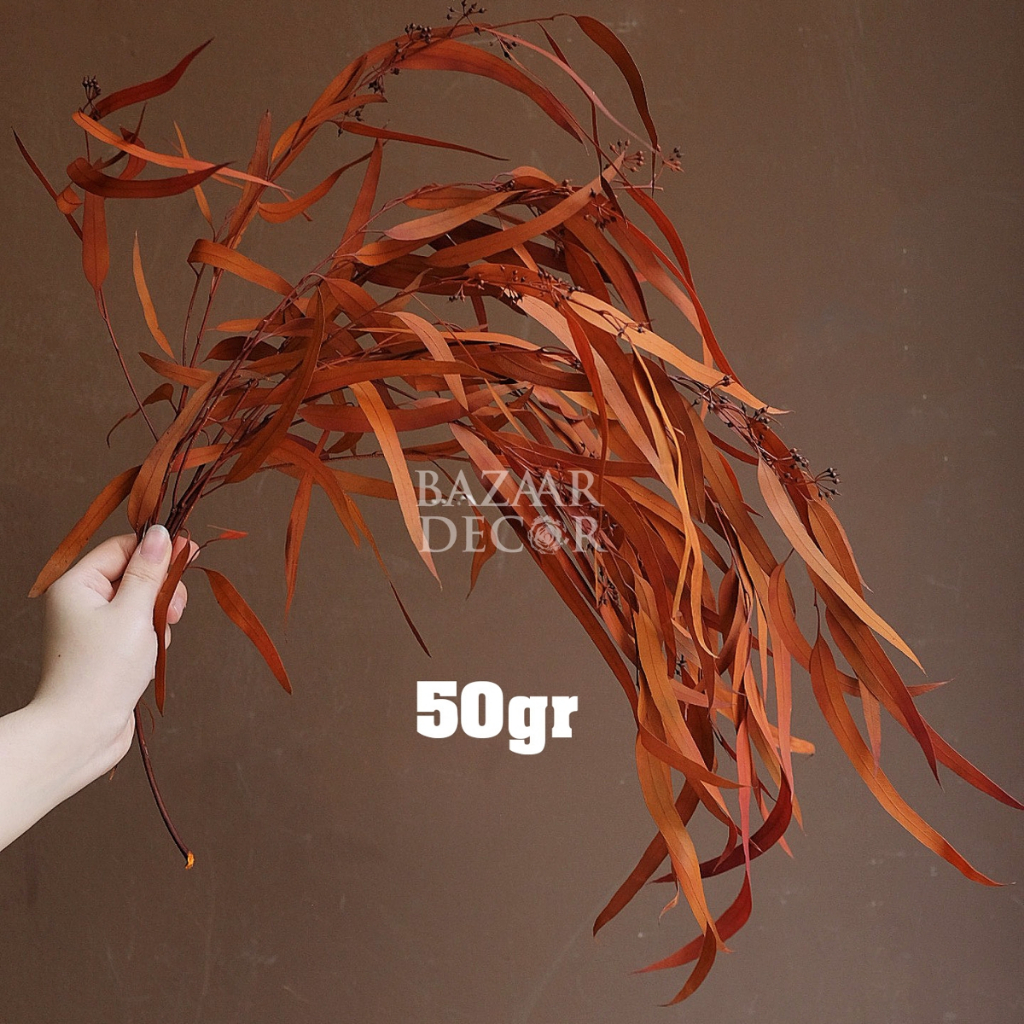 Cành lá bạch đàn sấy khô nguyên cành 60cm màu đỏ , cam , nâu | Hoa khô Eucalyptus
