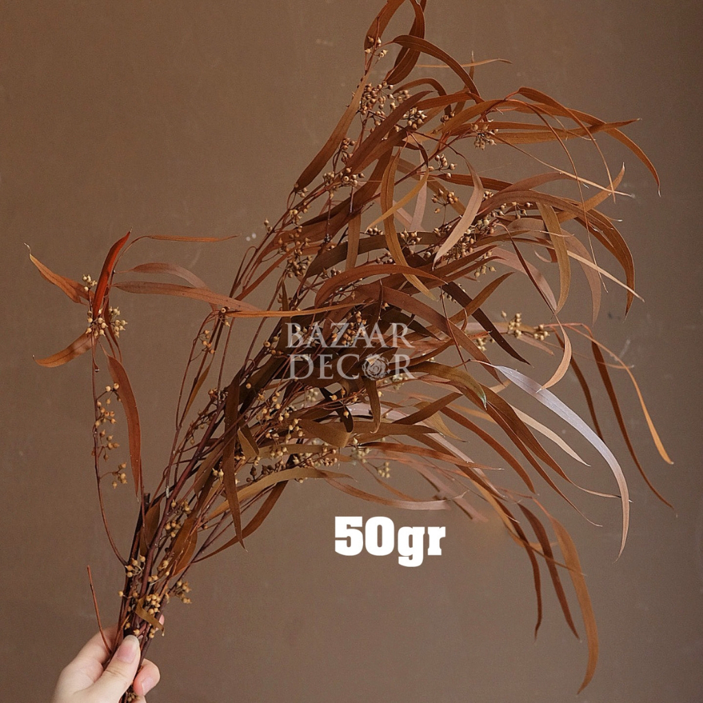 Cành lá bạch đàn sấy khô nguyên cành 60cm màu đỏ , cam , nâu | Hoa khô Eucalyptus