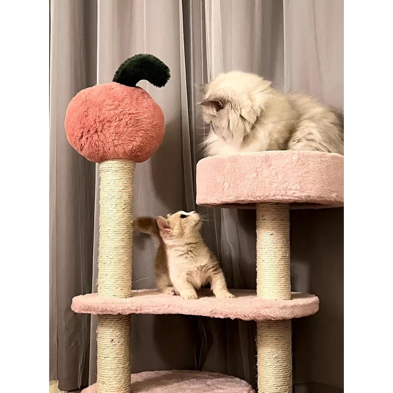 Cattree cao 103cm màu sắc đáng yêu cho mèo