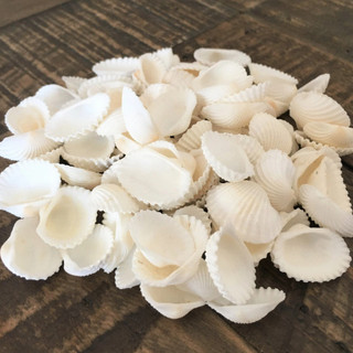 Bột Vỏ Sò Handmade - Trắng Mịn Da