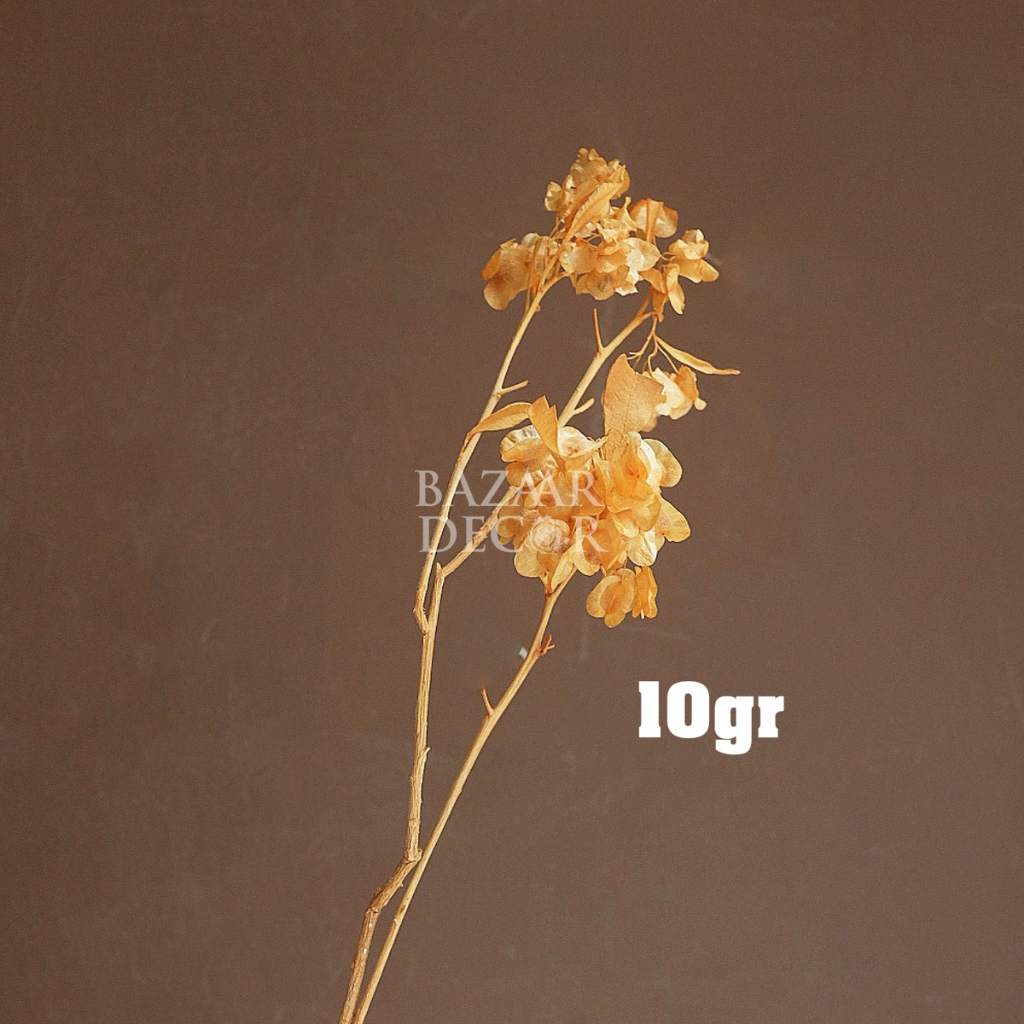 Cành hoa đậu loại đẹp sấy khô - 10gr