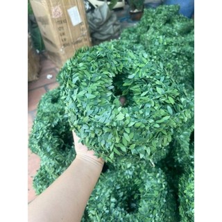 Cuộn dây lá bằng kẽm làm vòng đội đầu