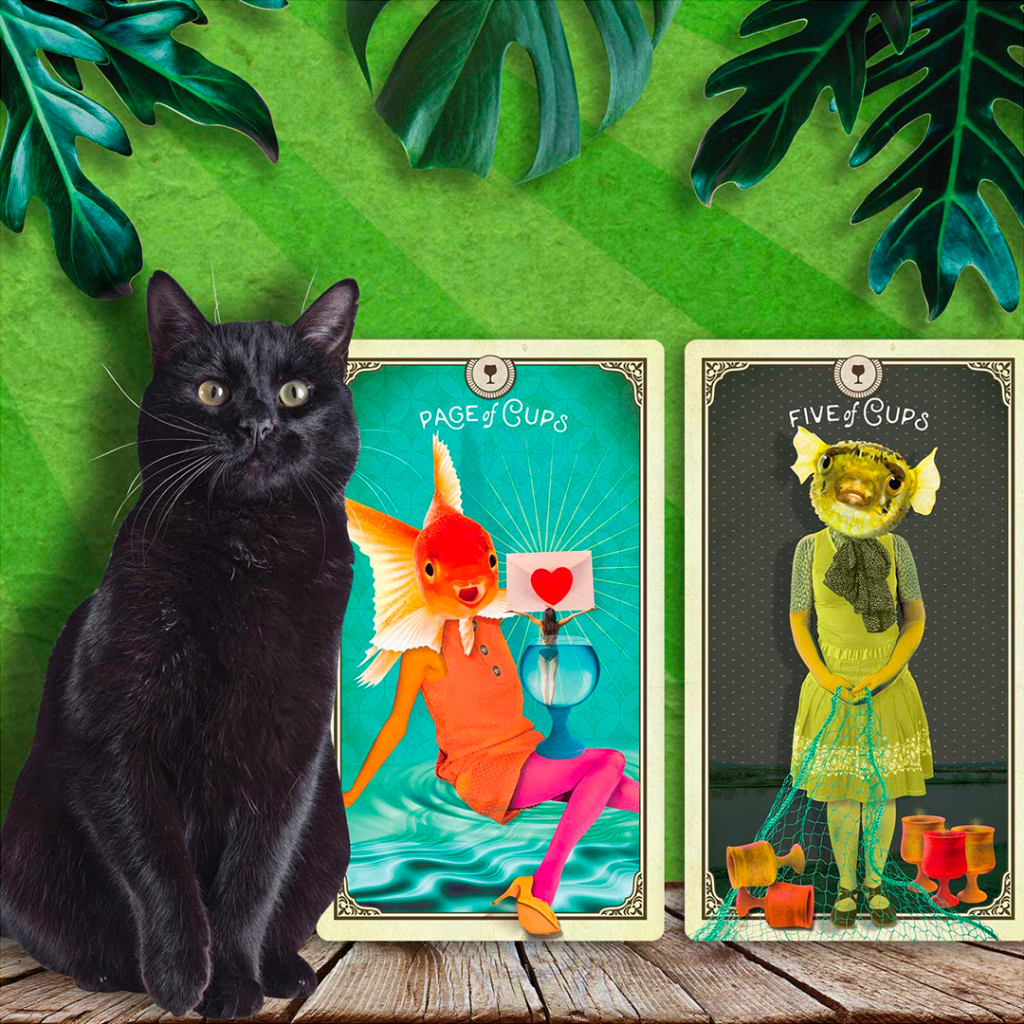 Bộ Bài Tarot of Curious Creatures