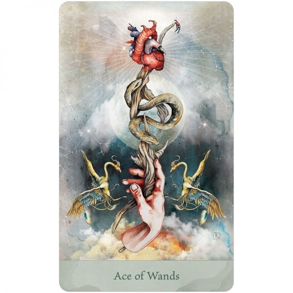 Bộ Bài Lorenzi Tarot