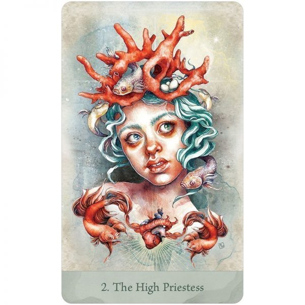 Bộ Bài Lorenzi Tarot