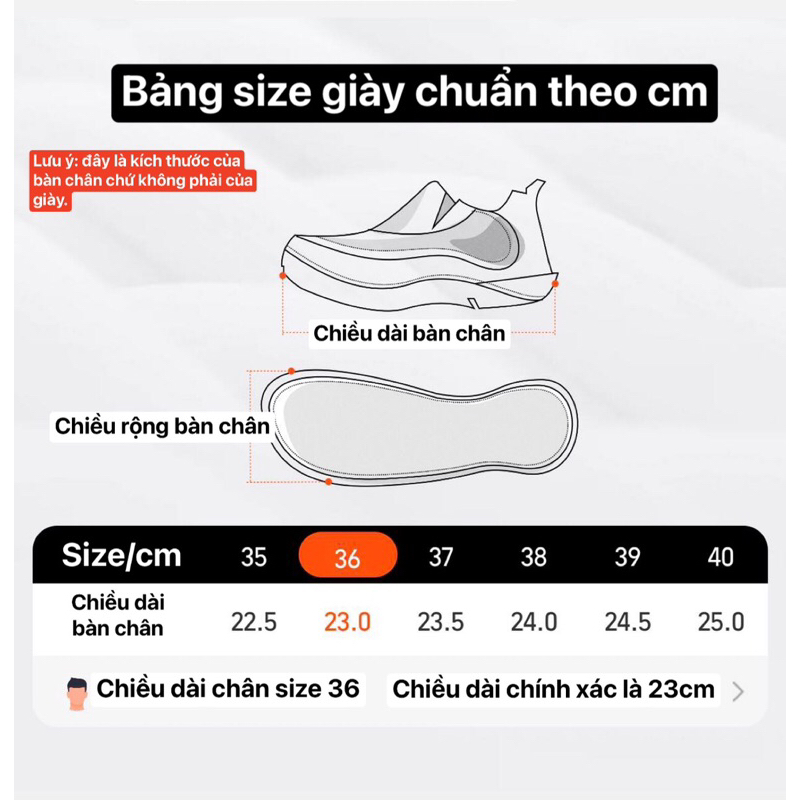 GIÀY SNEAKER GIÀY THỂ THAO MIX DÂY TO ĐẾ CAO 3cm- giày đặt 15 ngày mới có hàng- kèm ảnh thật