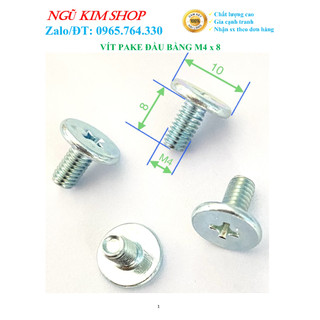 Vít pake đầu bằng m4 x 8 _ bịch 100 con