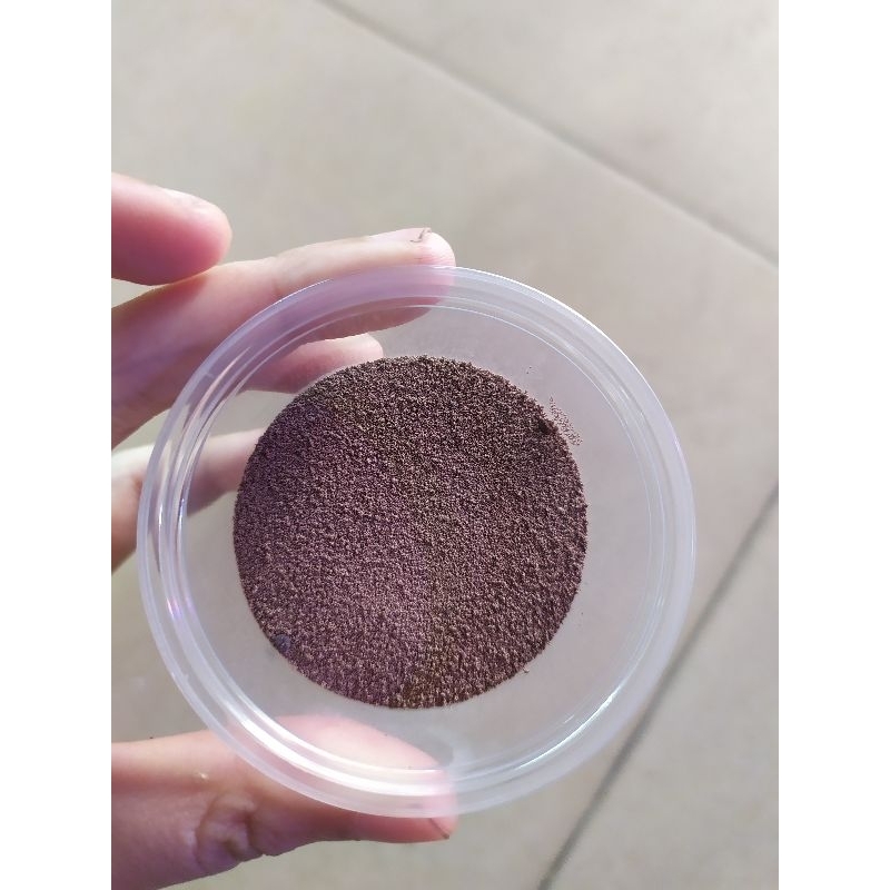Trứng Artemia Mỹ ấp nở 90%. Hũ 10gr