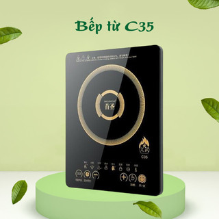 Bếp từ SHOUSHENG C35