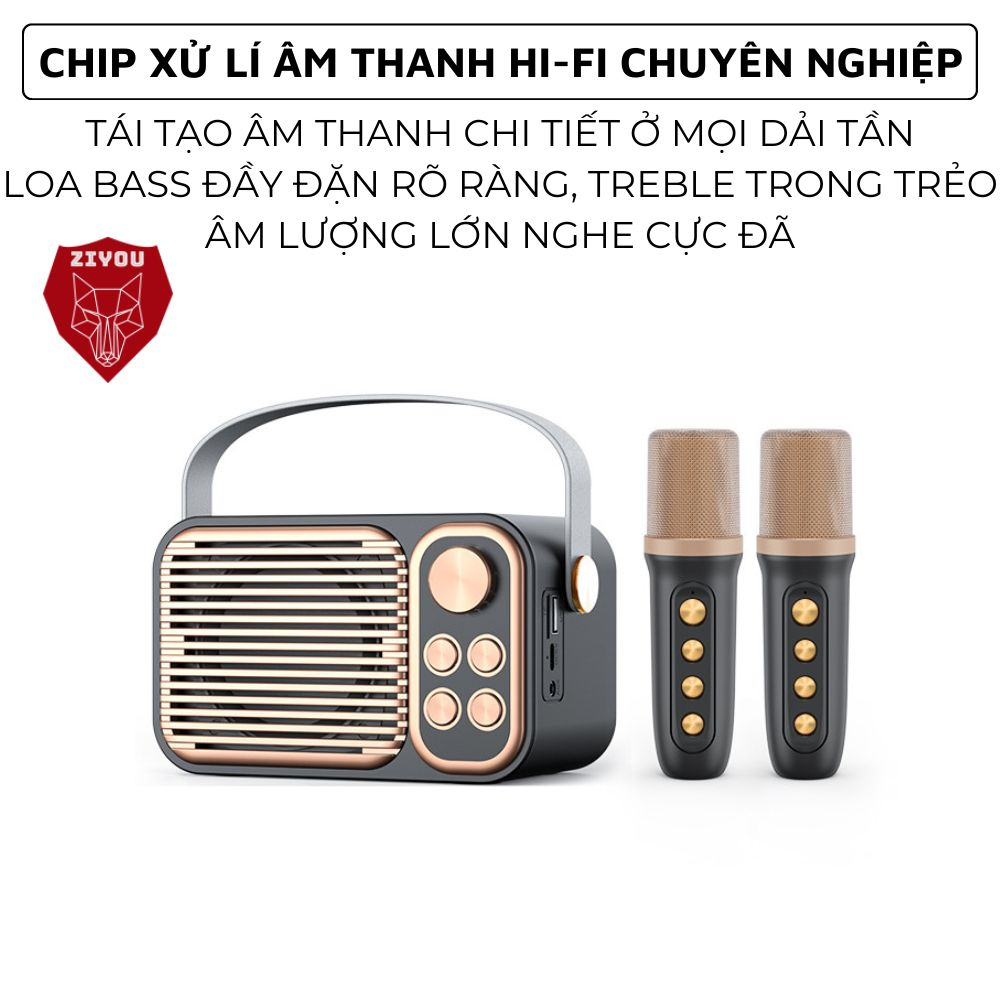 Loa Karaoke Bluetooth Ziyou YS-106BT Super Bass Âm Thanh Hay Kèm 2 Micro Không Dây