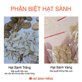 [Bán Sỉ] Hạt Sang Trắng Tây Bắc - [Bán Sỷ / Bán Buôn]
