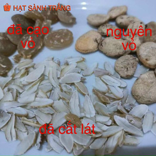 [Bán Sỉ] Hạt Sang Trắng Tây Bắc - [Bán Sỷ / Bán Buôn]