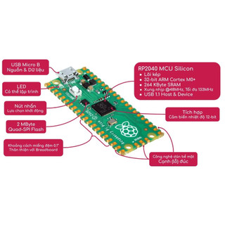 Raspberry Pi Pico Starter kit - Bộ kit lập trình Raspberry Pi Pico