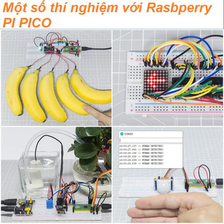 Raspberry Pi Pico Starter kit - Bộ kit lập trình Raspberry Pi Pico