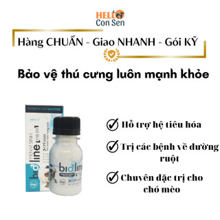 Chăm sóc sức khỏe chó mèo mùa đông vitamin cho chó mèo tăng đề kháng MBR9