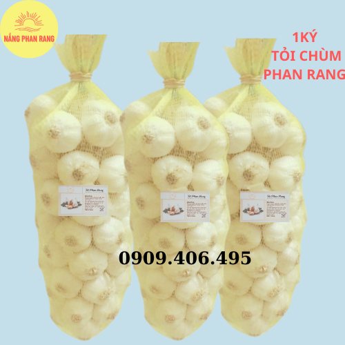 Tỏi Phan Rang đặc sản Ninh Thuận