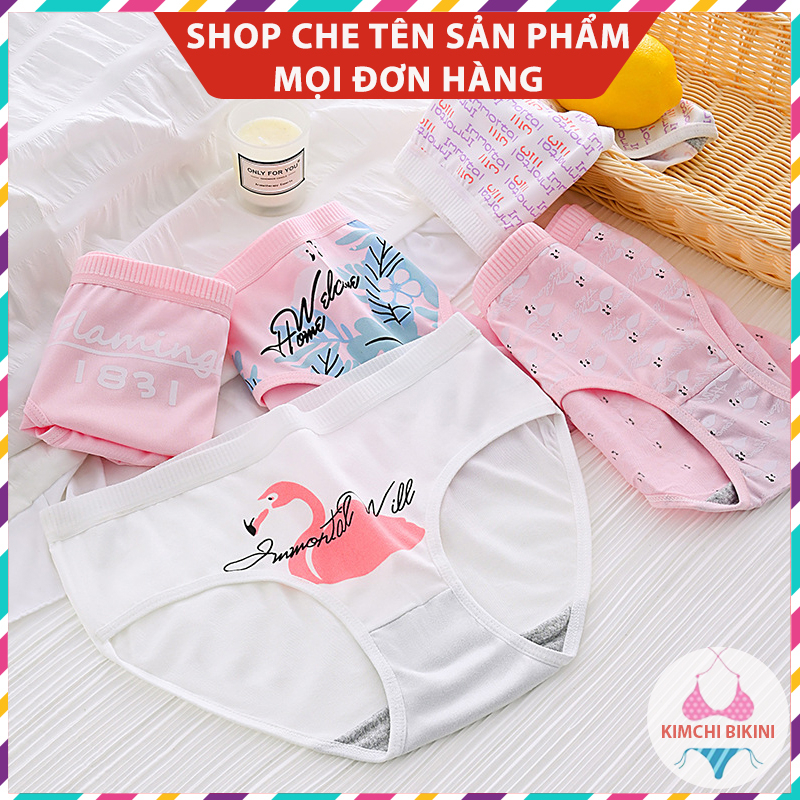 Quần chip nữ hình thú dễ thương KIMCHIBIKINI Quần lót nư tôn dáng nâng mông chống viêm QL049