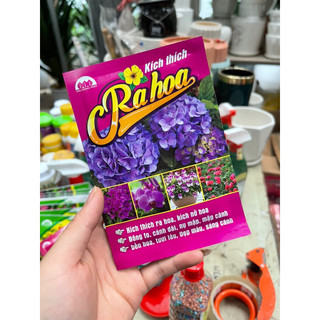 Kích thích ra hoa và vitamin b1 cho hoa cây cảnh