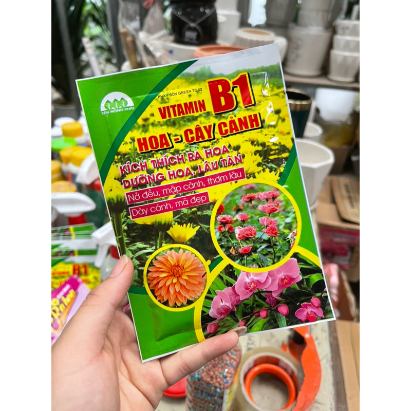 Kích thích ra hoa và vitamin b1 cho hoa cây cảnh