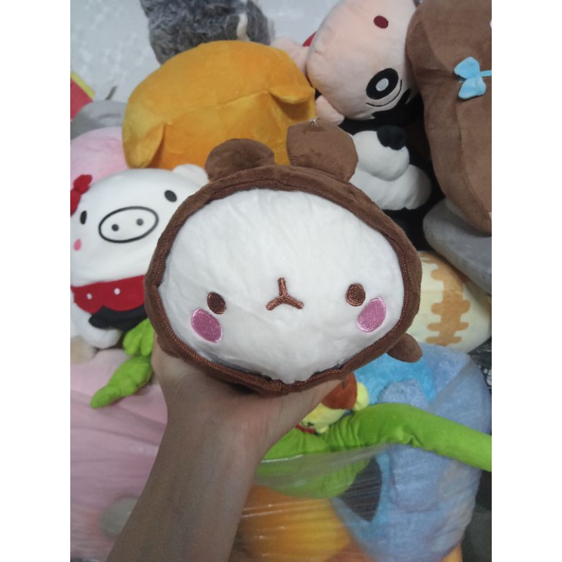 Gấu bông molang coslay