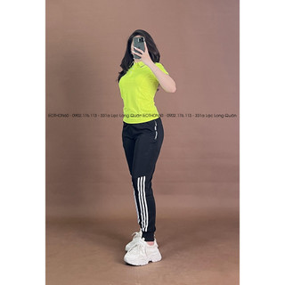 Áo das có cổ , quần jogger das Q295 [hình thật shop chụp] Eothon60