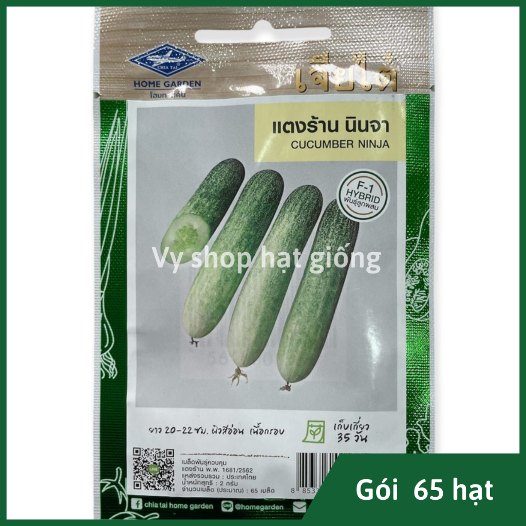 Hạt giống dưa leo (dưa chuột) nếp sữa Thái Lan gói 65 hạt