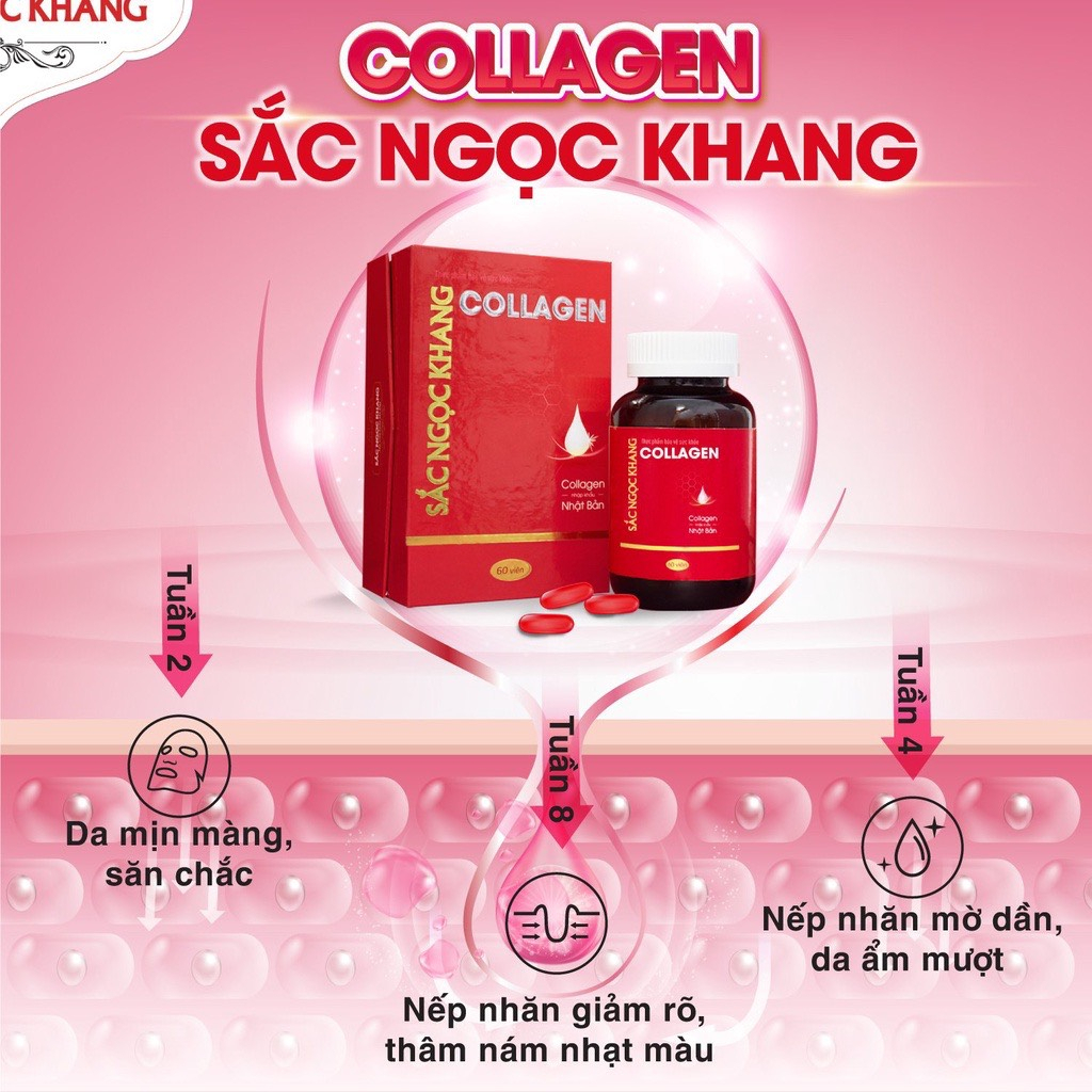 Liệu trình trẻ hóa da 3 hộp Viên uống Collagen Săc Ngọc Khang 120/hộp giảm nếp nhăn, da căng sáng mịn