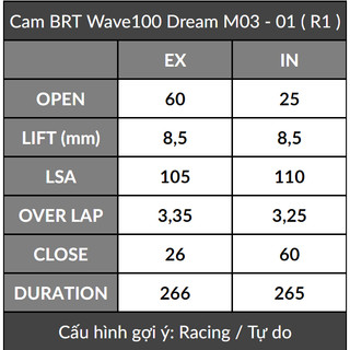 Cam + Cò lăn BRT Wave/Dream 100 / Future 110