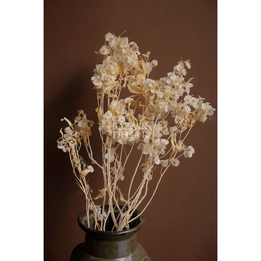 Cành hoa đậu loại đẹp sấy khô - 10gr