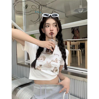 Áo thun nữ croptop in hình mèo siêu dễ thương - Aothunhinhmeo955 - Retrostyle/ P11K12