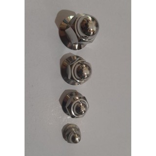 Óc inox gắn cho nhiều loại xe máy.