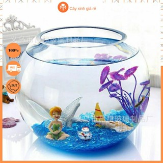 Bình Thủy Tinh tròn chuyên dùng trồng cây thủy sinh, bình nuôi cá để bàn