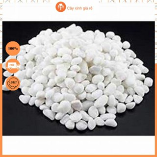 đá trang trí chậu cây, bể cá, sân vườn 500g (viên nhỏ 1-2cm)