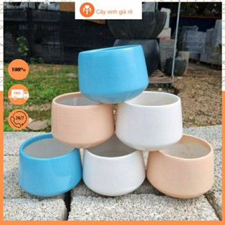 Chậu mini Bát Tràng trồng cây cảnh sen đá