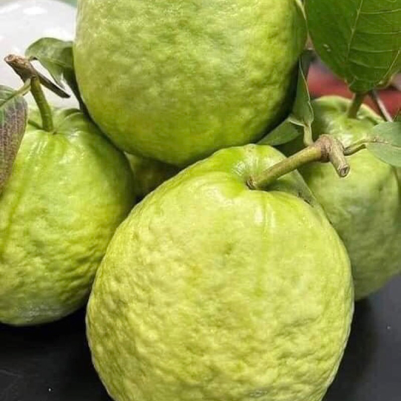 Ổi tươi 1 kg - Ship hoả tốc Hà Nội