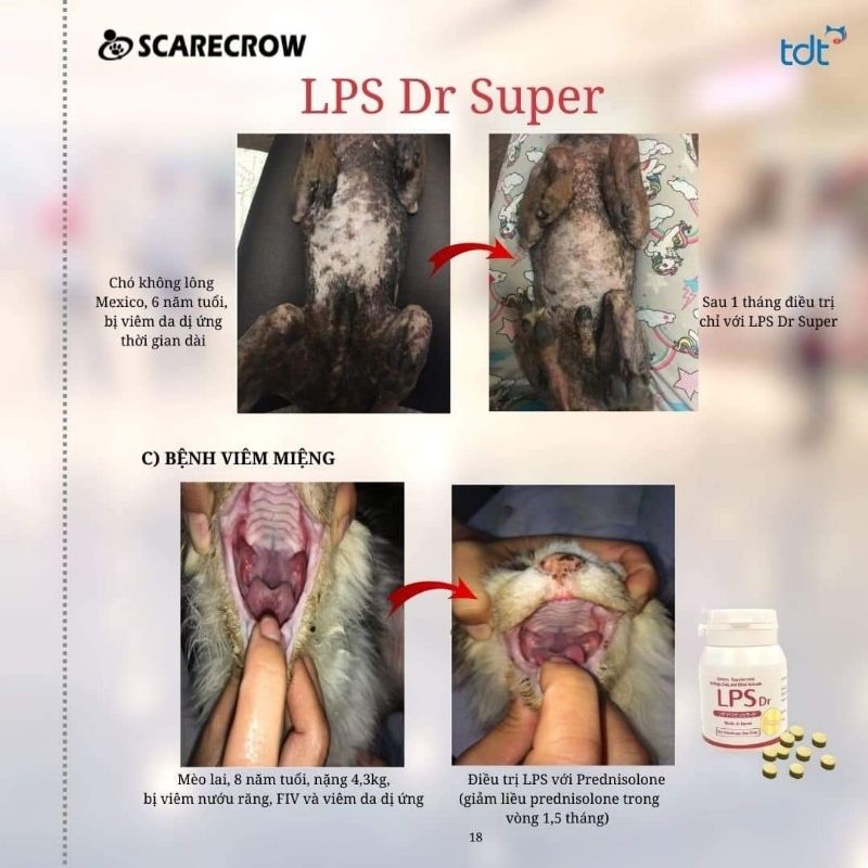 LPS Dr Super Và Pinfenon - tăng cường miễn dịch cho chó mèo