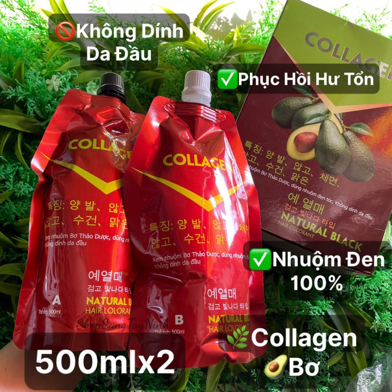 Nhuộm Đen Phủ Bạc 100% Collagen Thảo Mộc Bơ