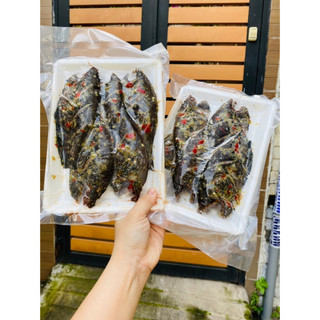 Khay 500gram Cá Sặc Sả Ớt 1 Nắng / sặc ướp xả ớt một nắng ngon cơm