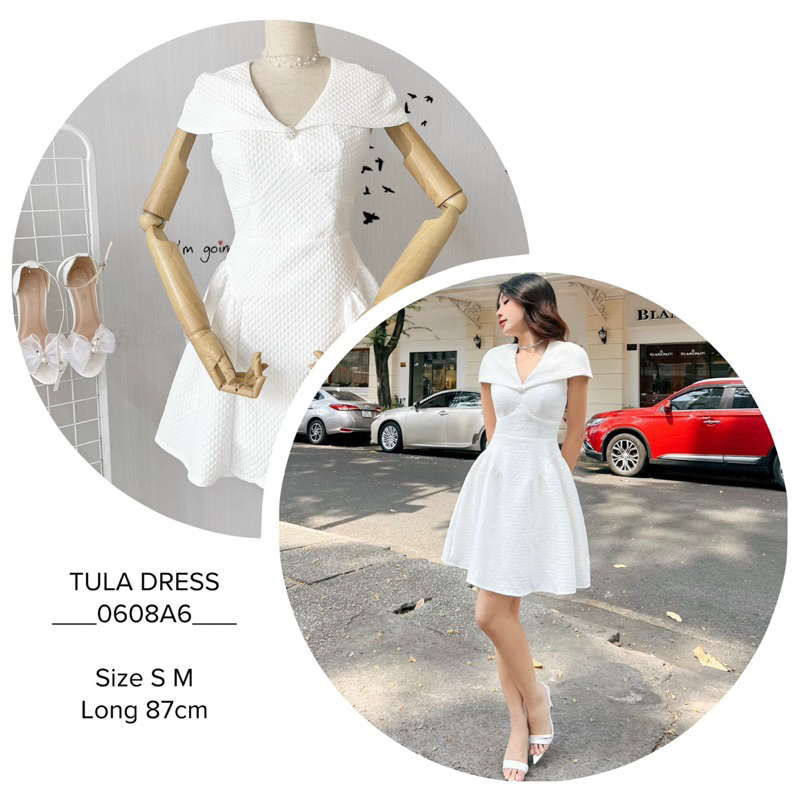 ĐẦM CỔ V XỐP XOÈ ⚡️HOẢ TỐC ⚡️MÈO IN DA HOUSE