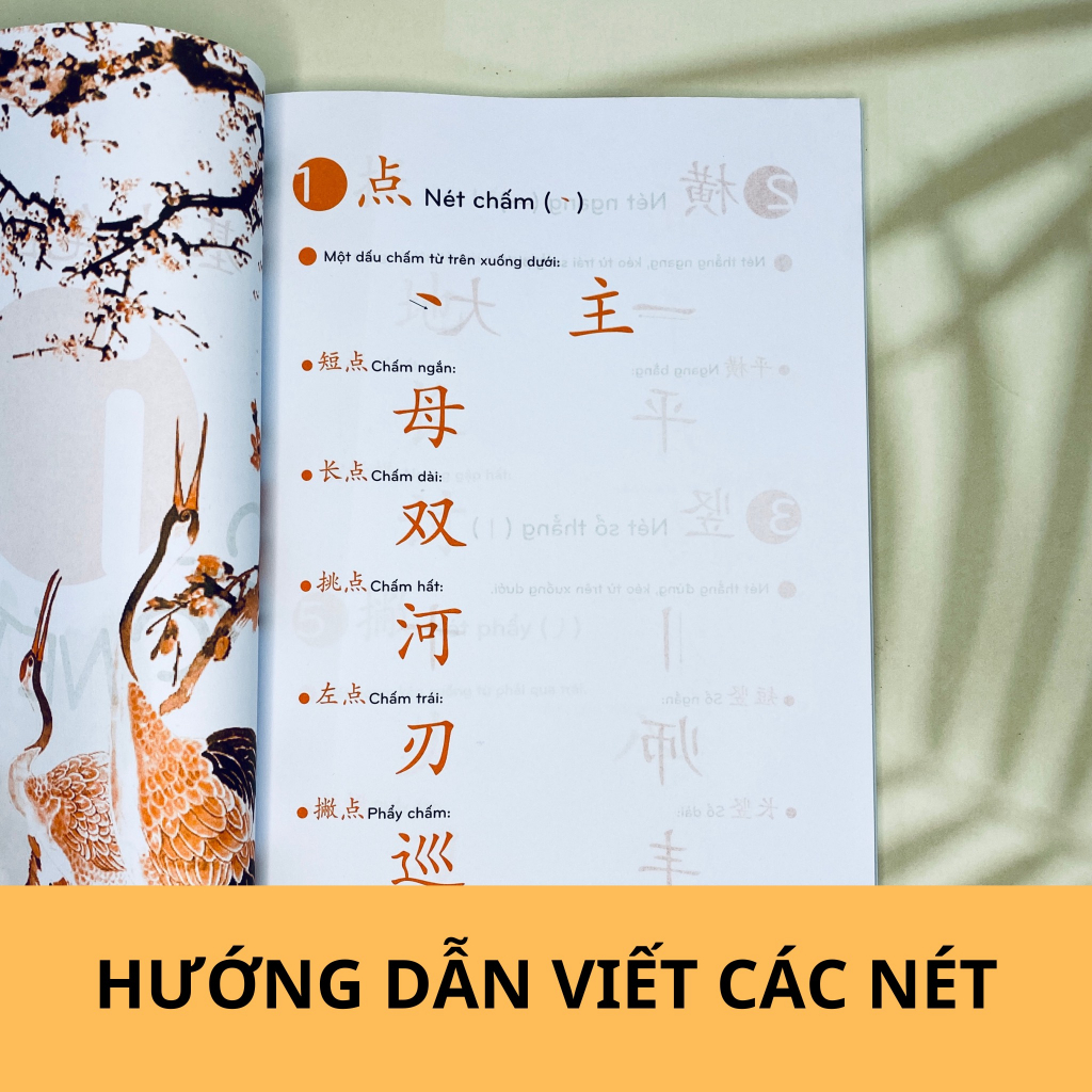 Sách - Tập viết chữ Hán (HSK123)