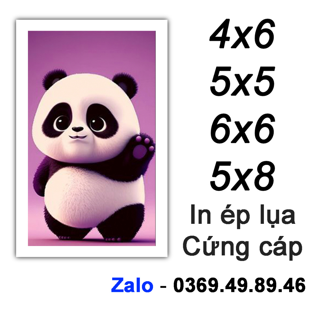 In Ảnh Theo Yêu Cầu - In Ảnh 4x6 5x5 6x6 5x8 - In Ép Lụa - Chất Liệu Cứng Cáp - Không Phai
