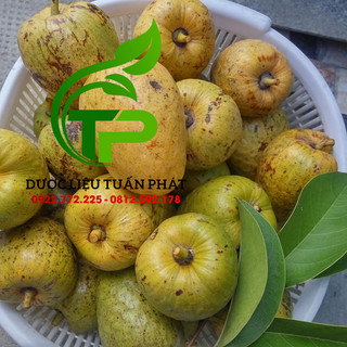1kg Trái Bình Bát Chín Cây (Quả Bình Bát Chín Cây, Bình Bát Chín)