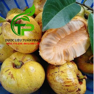 1kg Trái Bình Bát Chín Cây (Quả Bình Bát Chín Cây, Bình Bát Chín)
