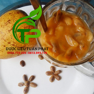 1kg Trái Bình Bát Chín Cây (Quả Bình Bát Chín Cây, Bình Bát Chín)