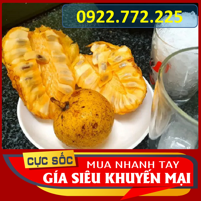 Trái Bình Bát Chín Cây 1kg