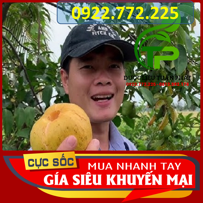 Trái Bình Bát Chín Cây 1kg