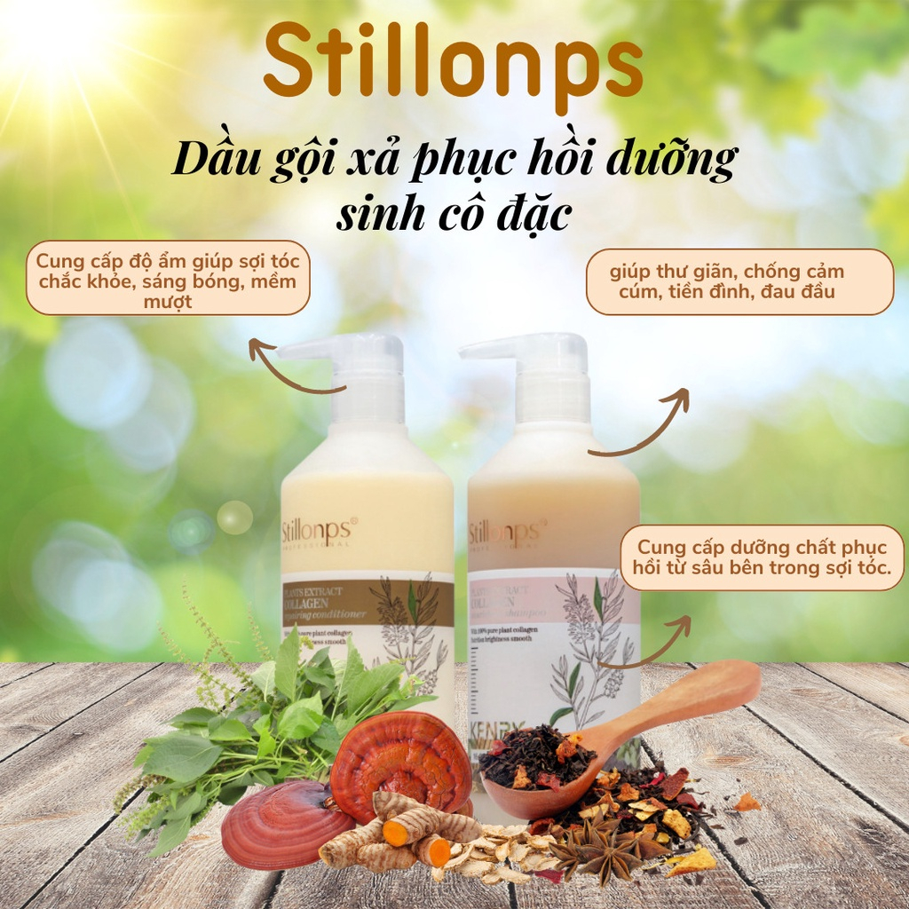 Dầu Gội Dưỡng Sinh STILLONPS KENRY 1000ML Hương Thảo Mộc, Đả Thông Kinh Lạc