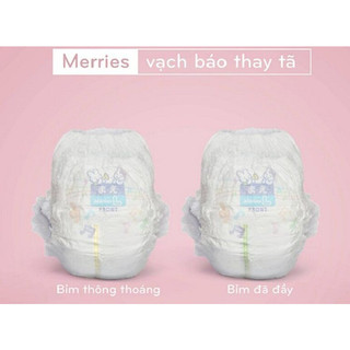 Combo 2 miếng bỉm các loại (bỉm dùng thử)