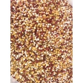 Phân bón con cò npk 20-20-15-te 3 màu cao cấp 500g